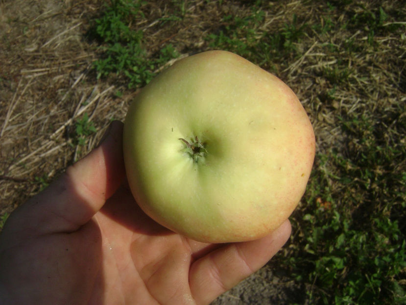 Mar de vara 4 - Mar de vara