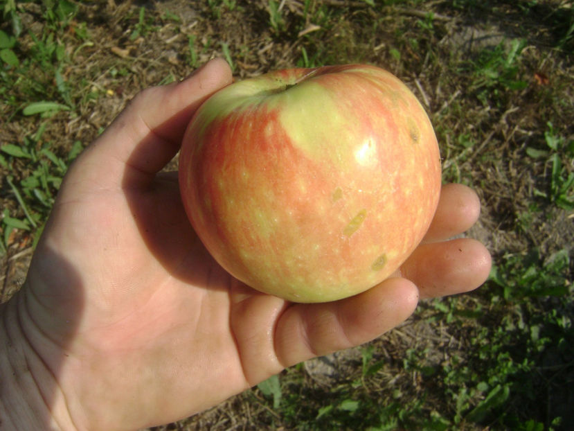 Mar de vara 2 - Mar de vara