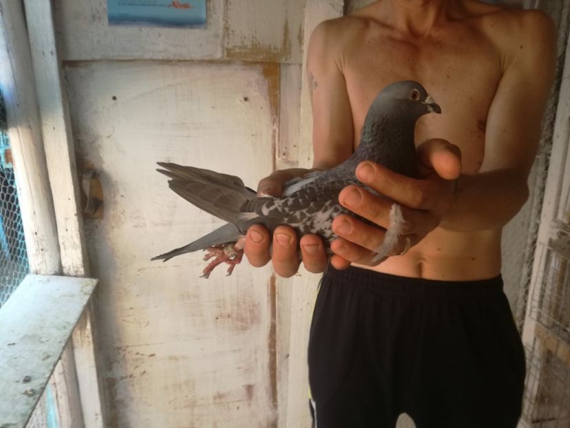  - TARTU-1486km aerian