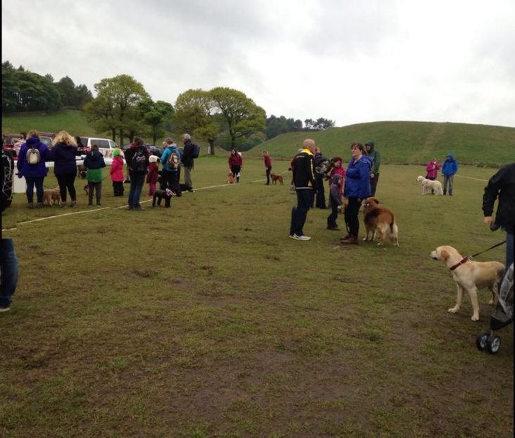  - eveniment cu caini 2017