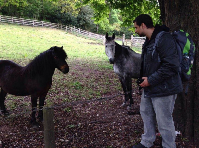  - eveniment cu caini 2017