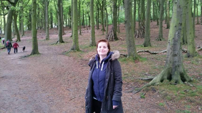  - eveniment cu caini 2017