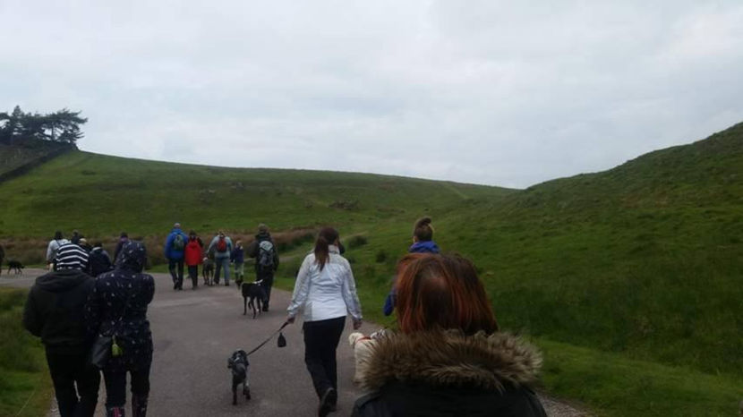  - eveniment cu caini 2017