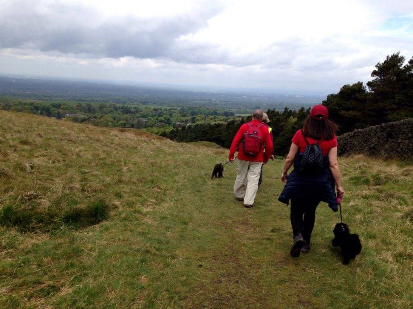  - eveniment cu caini 2017