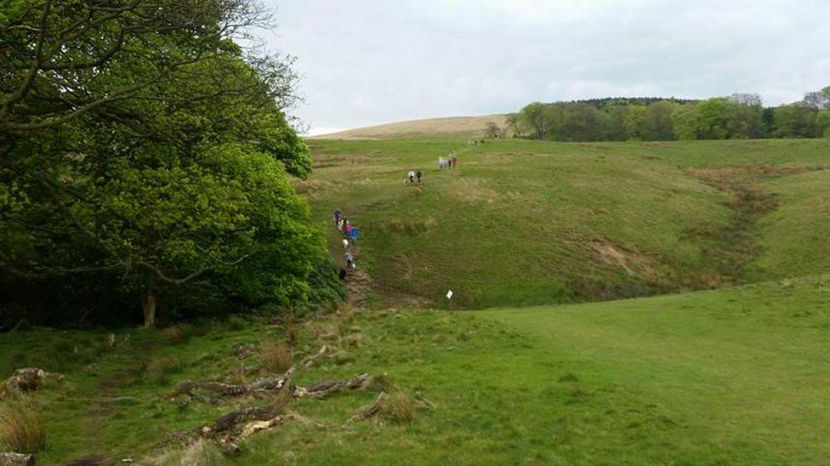  - eveniment cu caini 2017