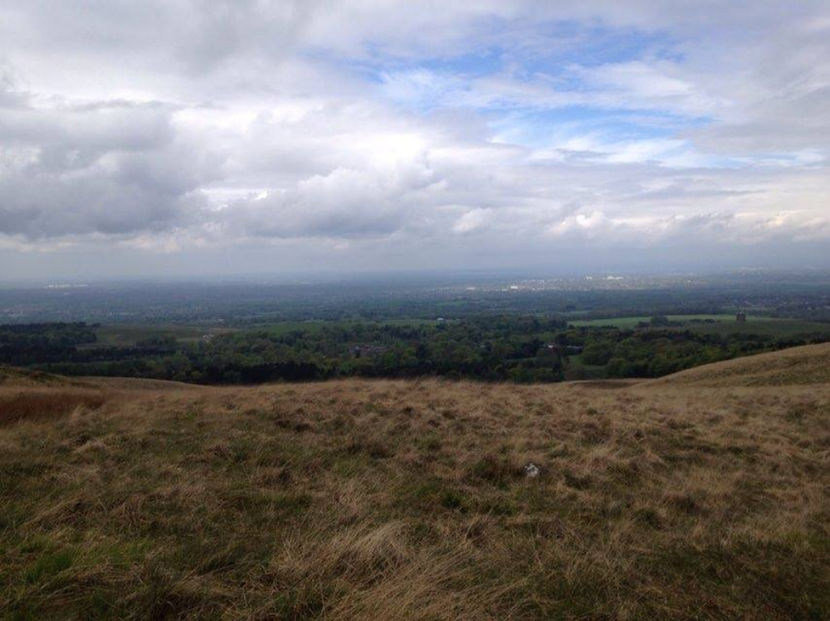  - eveniment cu caini 2017