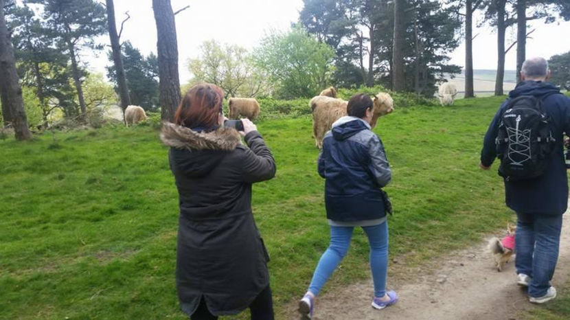  - eveniment cu caini 2017