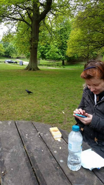  - eveniment cu caini 2017