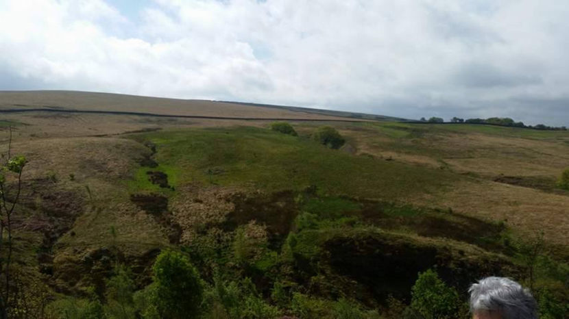  - eveniment cu caini 2017