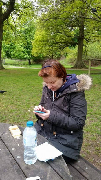  - eveniment cu caini 2017