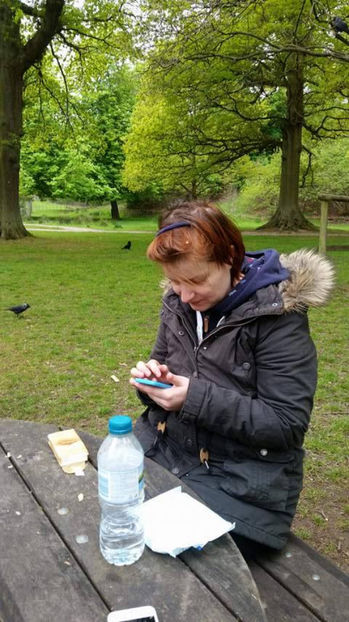  - eveniment cu caini 2017