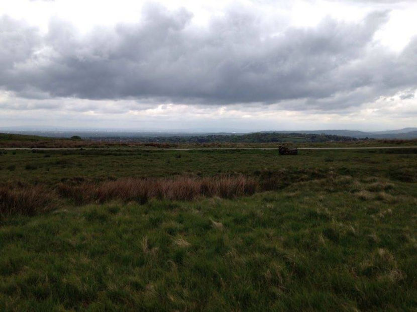  - eveniment cu caini 2017