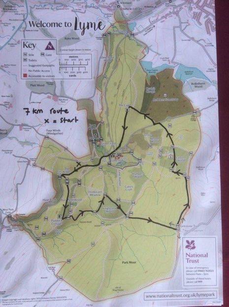  - eveniment cu caini 2017