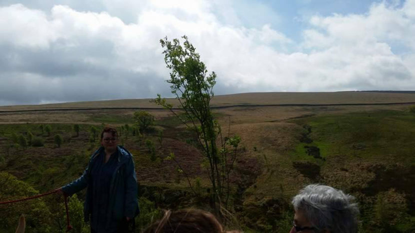  - eveniment cu caini 2017