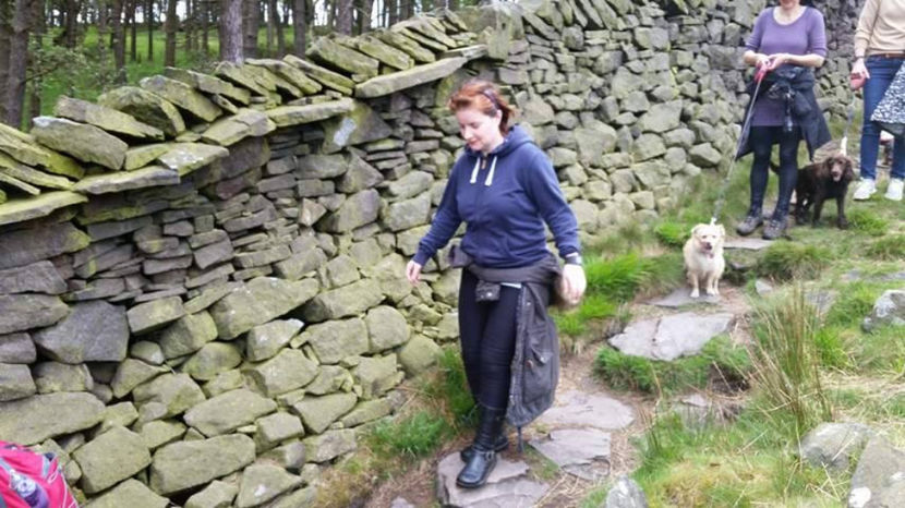  - eveniment cu caini 2017