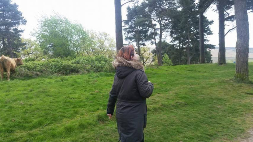  - eveniment cu caini 2017