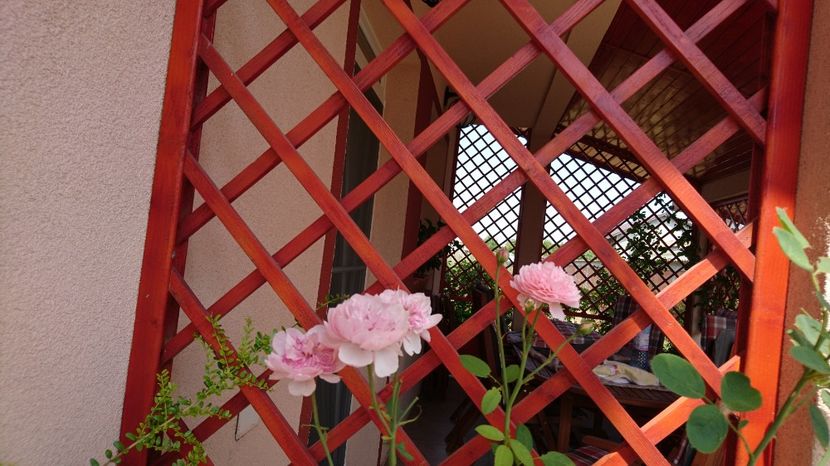  - Gradina august 2017