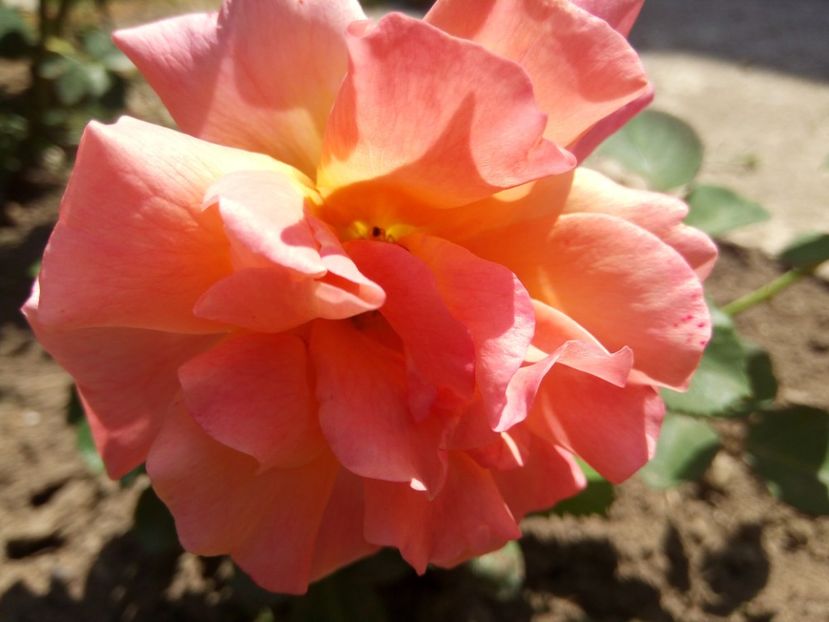 Ziua 3 - Easy does it