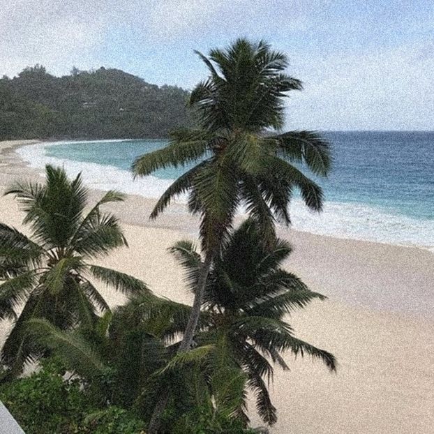 unul dintre visele mele este să merg pe o insulă pustie și să-mi petrec ceva timp - none of this feels real