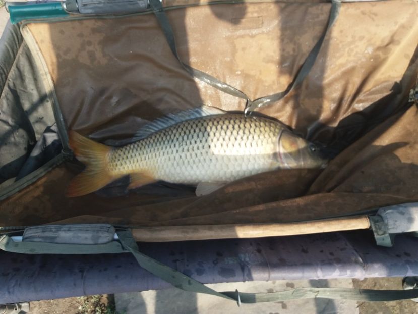  - Aventuri la pescuit