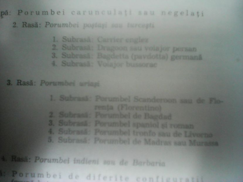 Creşterea porumbeilor 196Peterfi Sefan Cluj - CARUNCULATII  AUTOHTONI