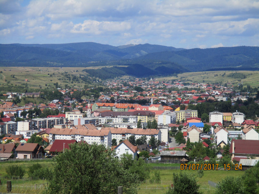 Valea-Toplitei - PLANTE SI FRUNZE DE ARBORI IN HRANA CAPRELOR
