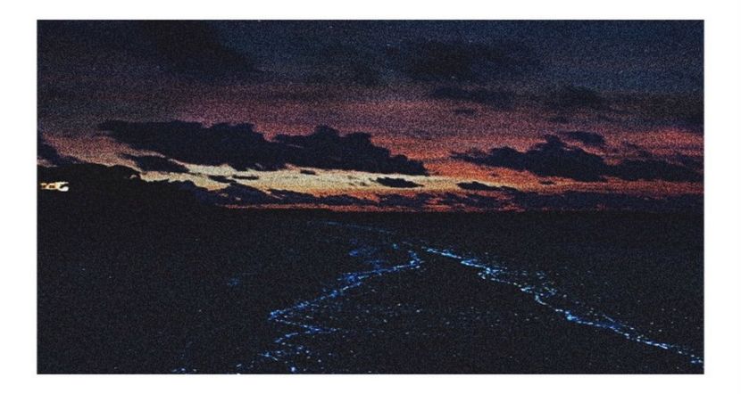 ●○ ρσѕтє∂ ση ₁₂. ₀₈. ₂₀₁₇. ❝ Ɗαу ₈₂ ❞ - Up all night - all night and every day