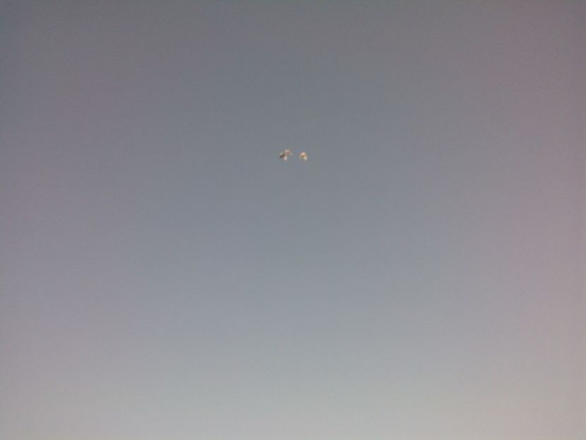  - antrenament de 3 ori pe saptamana