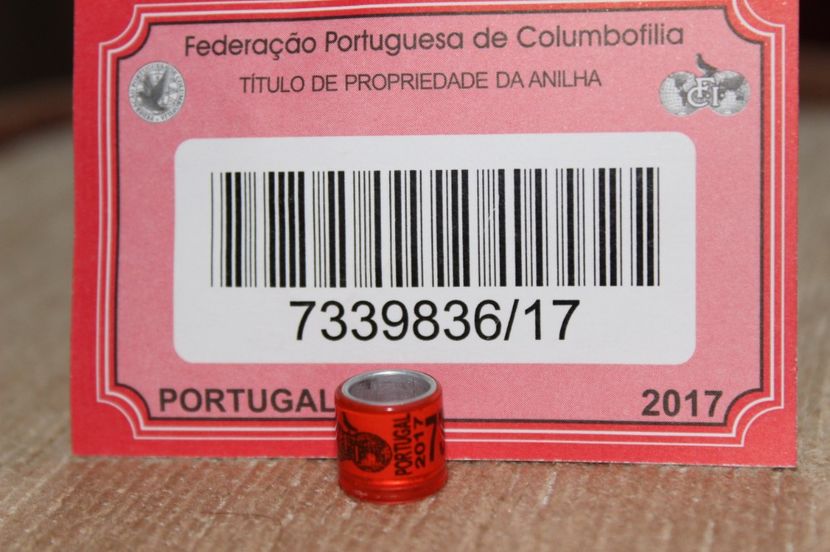 PORTUGAL 2017 F C I - PORTUGALIA