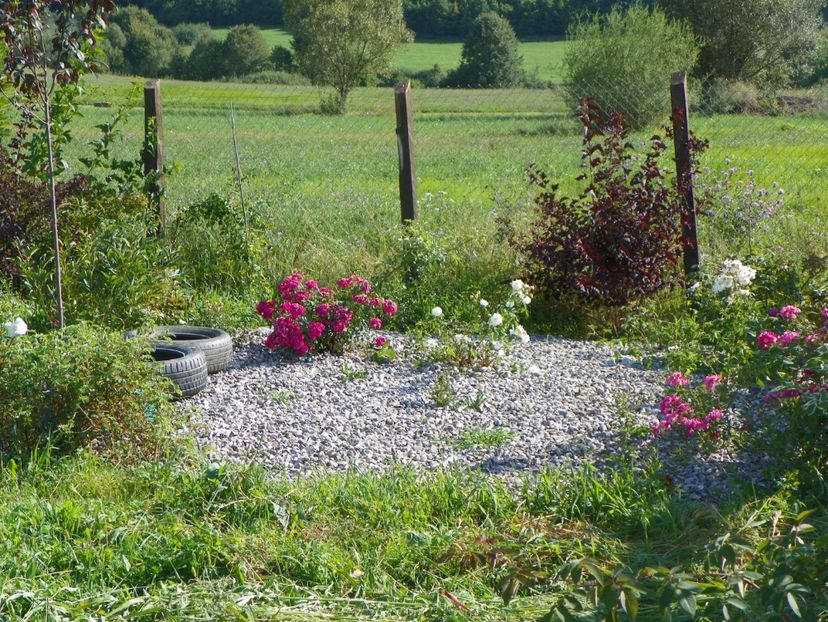 rondul Dinky - Dobarland 2017 2