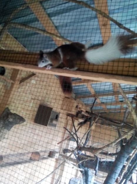  - Akizitii din Germania 2017