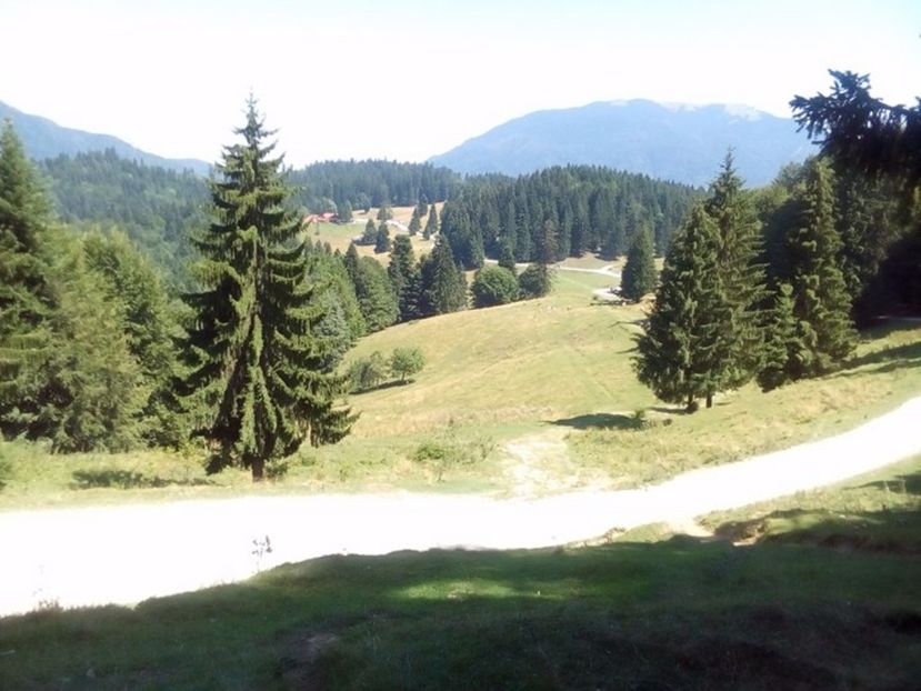  - 2017 VACANTA LA MARE 24IUL-11AUG