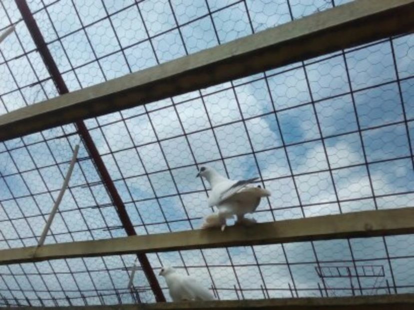  - Aspecte Iulie-August 2017