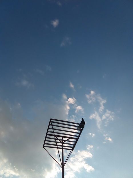  - Aspecte Iulie-August 2017