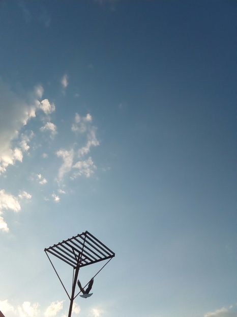  - Aspecte Iulie-August 2017