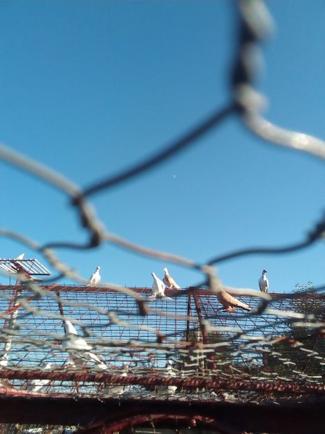  - Aspecte Iulie-August 2017