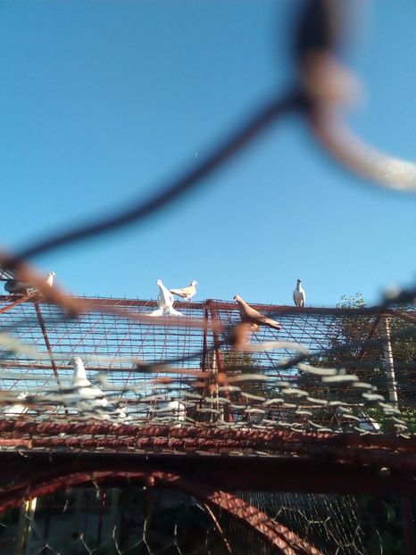  - Aspecte Iulie-August 2017