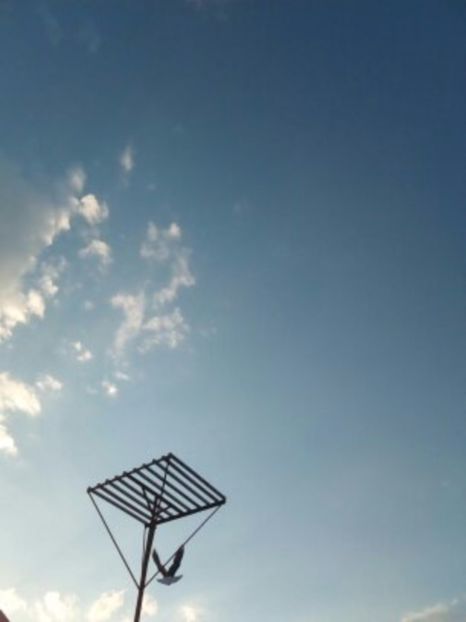  - Aspecte Iulie-August 2017