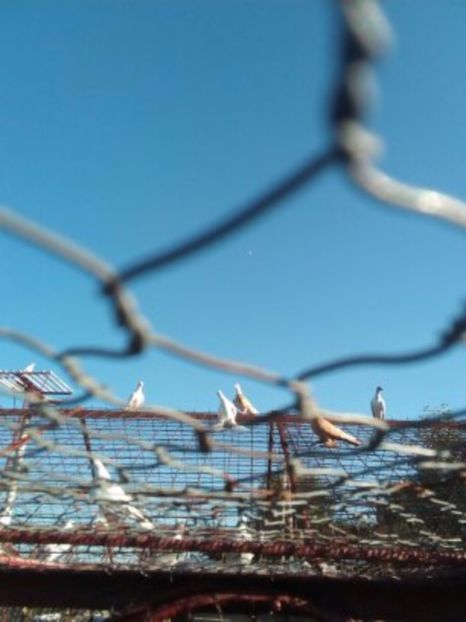  - Aspecte Iulie-August 2017