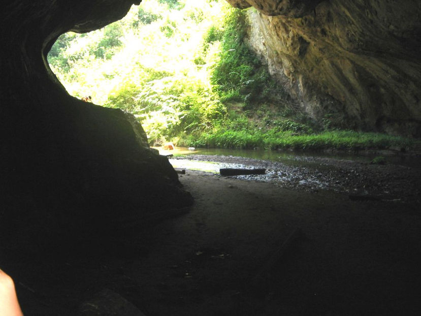 Pestera Bolii - Vacanța 2017
