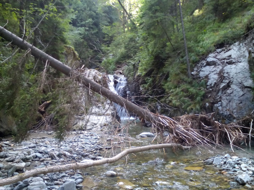 De la Cascada Maria - Vacanța 2017