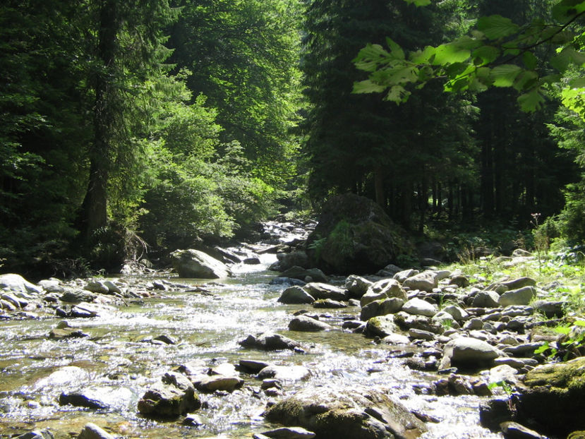 Cheile Jiețului - Vacanța 2017