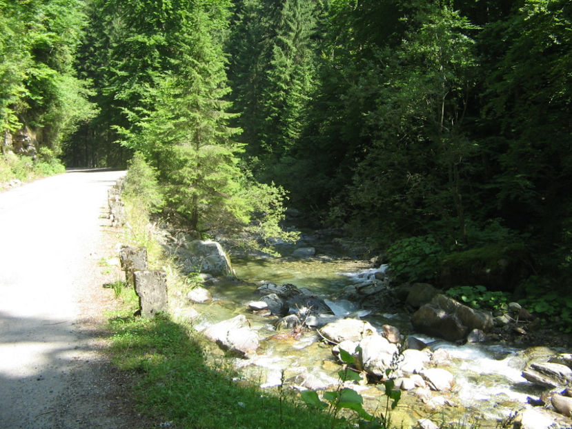 Cheile Jiețului - Vacanța 2017