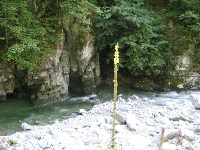 Cheile Lătoriței - Vacanța 2017