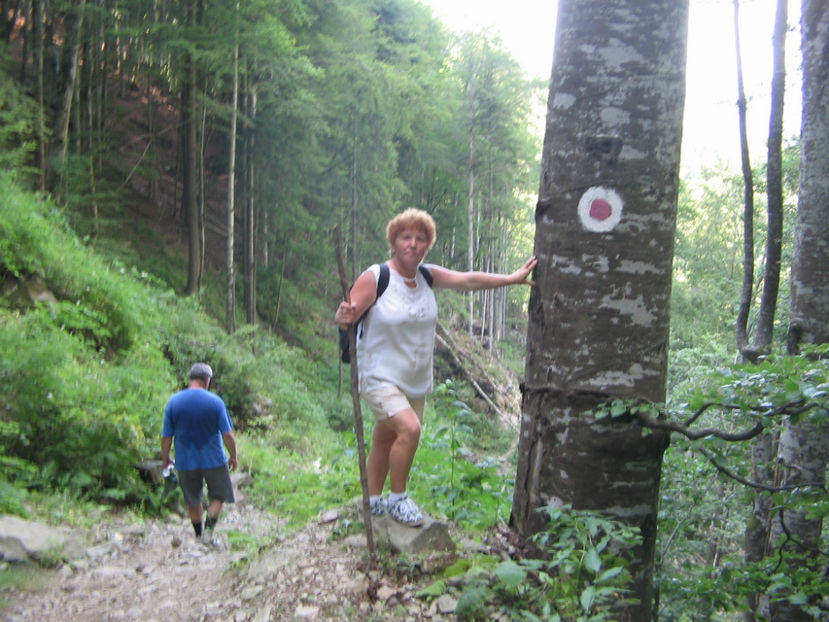 De la Cascada Scoruș - Vacanța 2017