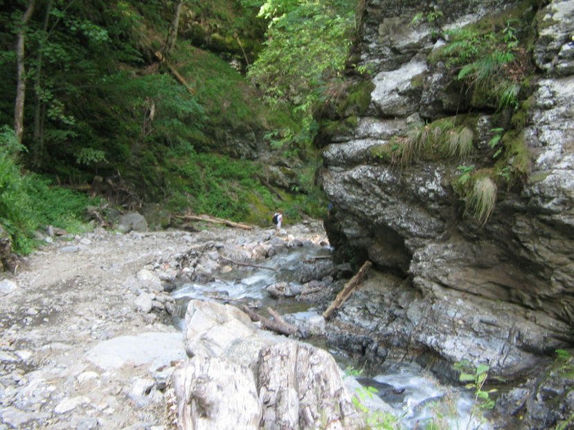 De la Cascada Scoruș - Vacanța 2017