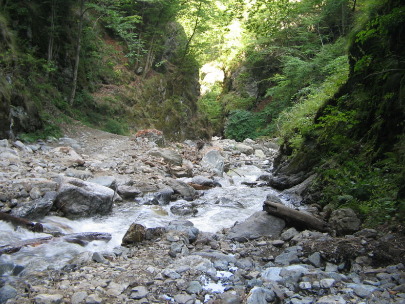 De la Cascada Scoruș - Vacanța 2017