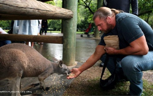  - triple h and his family