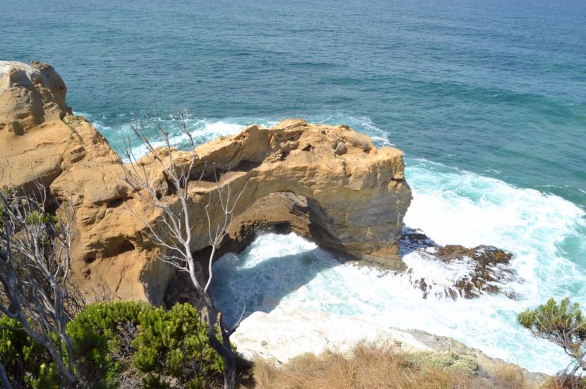  - Great Ocean Road - Cei 12 Apostoli