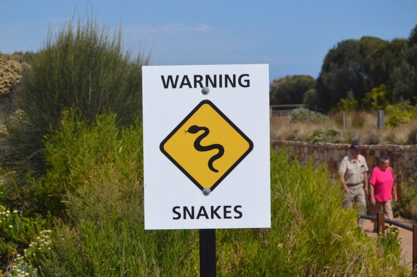  - Great Ocean Road - Cei 12 Apostoli